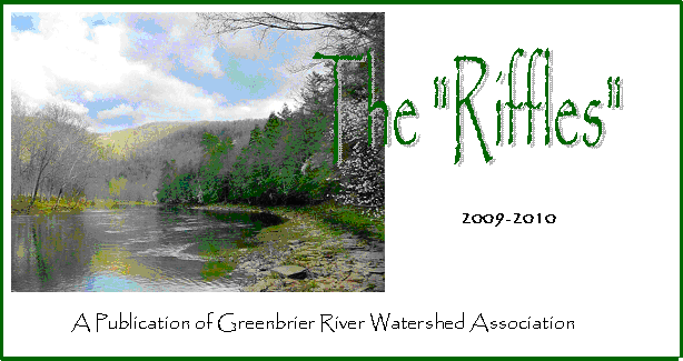 Newsletter title